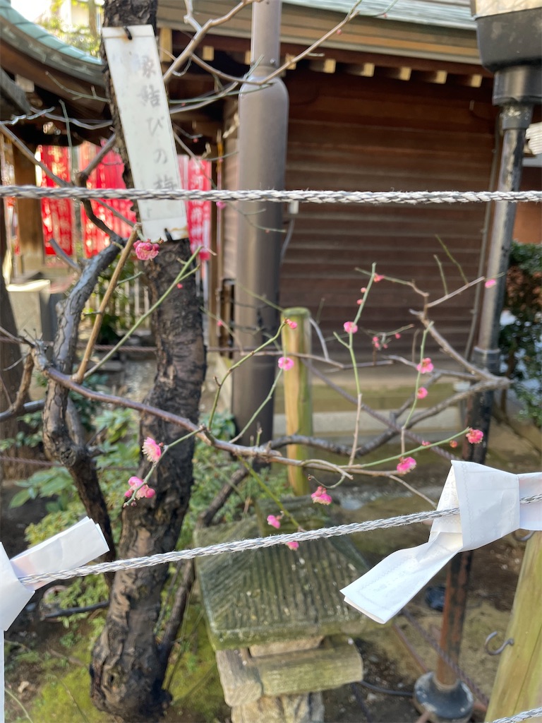 f:id:isaoE:20230221212349j:image