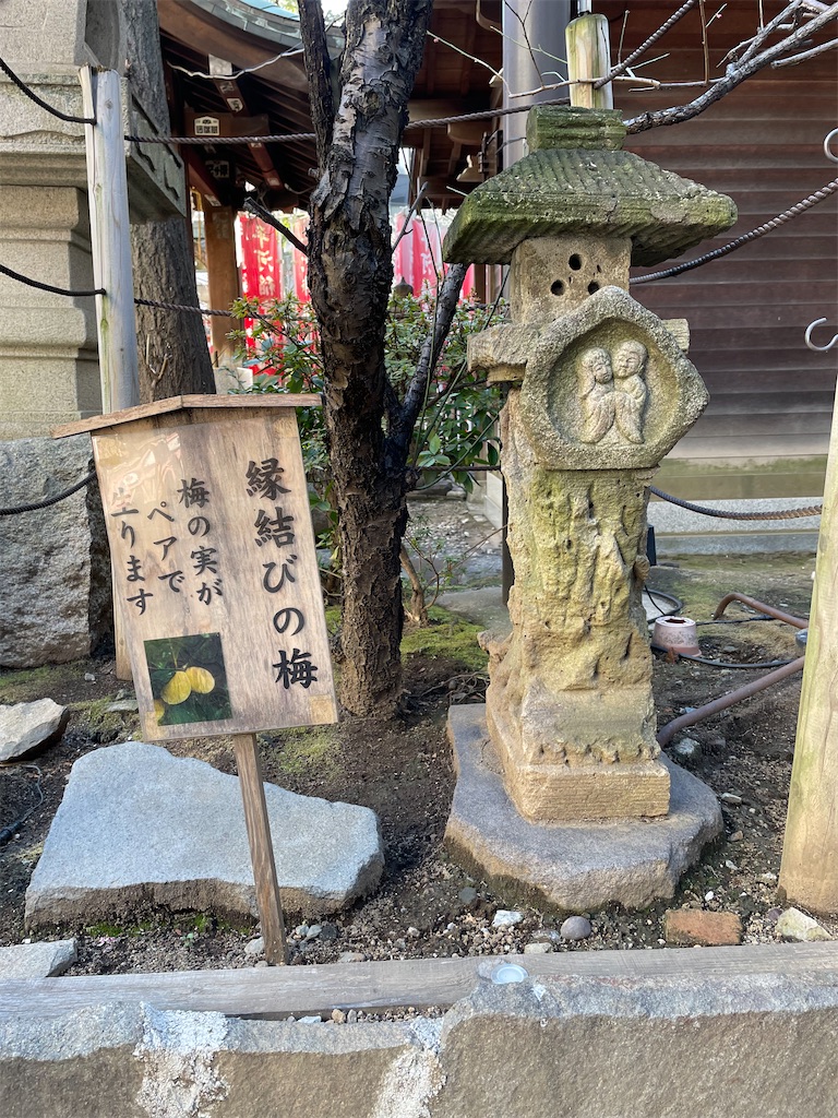 f:id:isaoE:20230221212920j:image