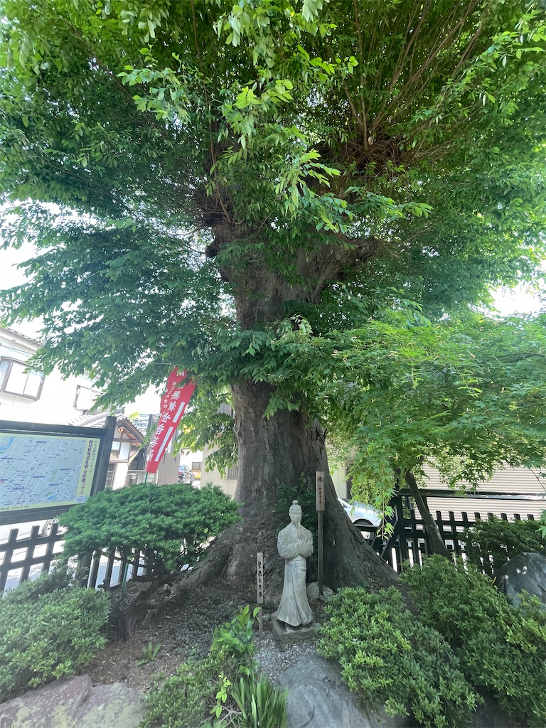 f:id:isaoE:20230603065821j:image