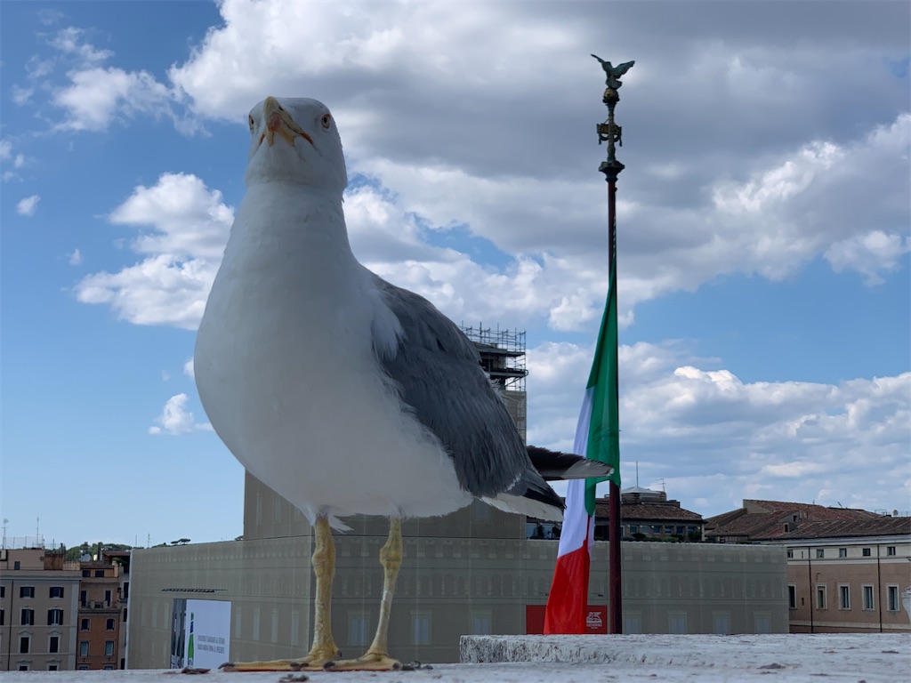 f:id:isaqua:20200602153405j:image