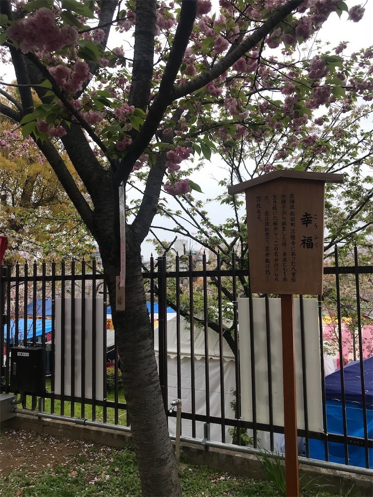 f:id:iscall:20190416084947j:image
