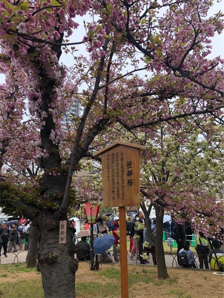 f:id:iscall:20190416084958j:image