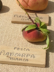 f:id:ischia:20060908213641j:image f:id:ischia:20060908213641j:image