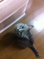 20120410222406