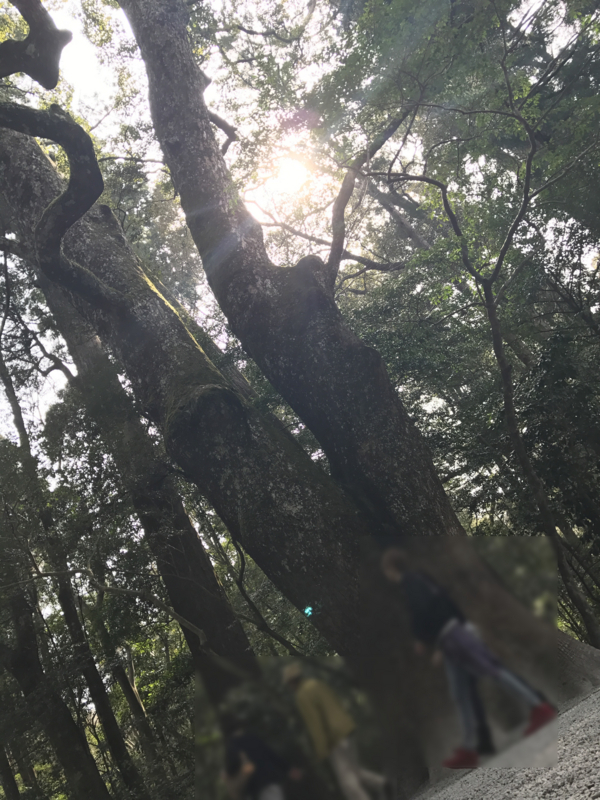 f:id:isehakupedia:20170323234602j:plain f:id:isehakupedia:20170323234602j:plain