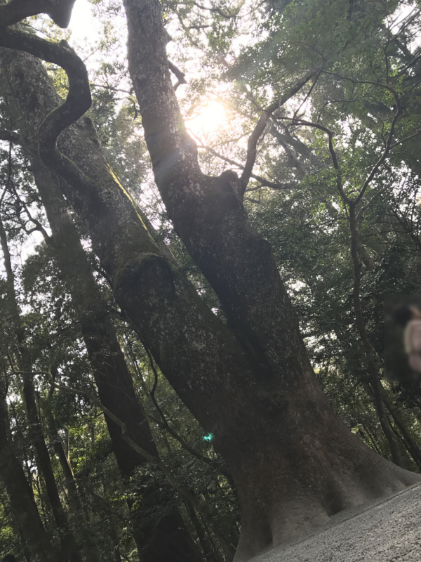 f:id:isehakupedia:20170323234604j:plain f:id:isehakupedia:20170323234604j:plain