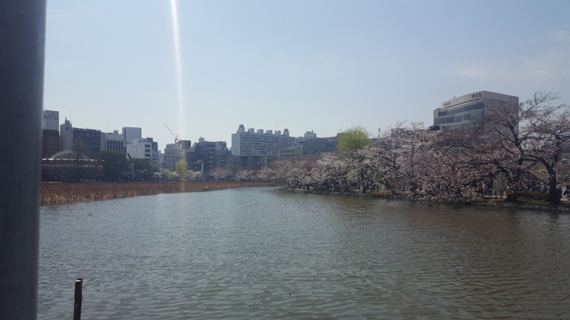f:id:isehakupedia:20170408023439j:plain f:id:isehakupedia:20170408023439j:plain