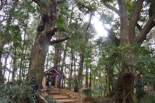f:id:isehakupedia:20180130122722j:plain f:id:isehakupedia:20180130122722j:plain