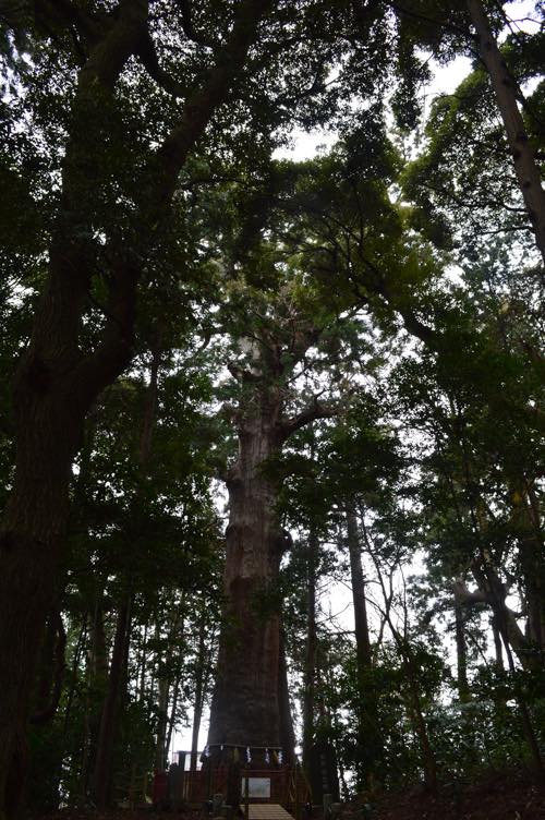 f:id:isehakupedia:20180130122723j:plain f:id:isehakupedia:20180130122723j:plain