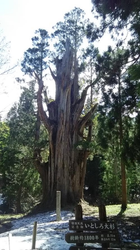 f:id:isehakupedia:20180507094517j:plain