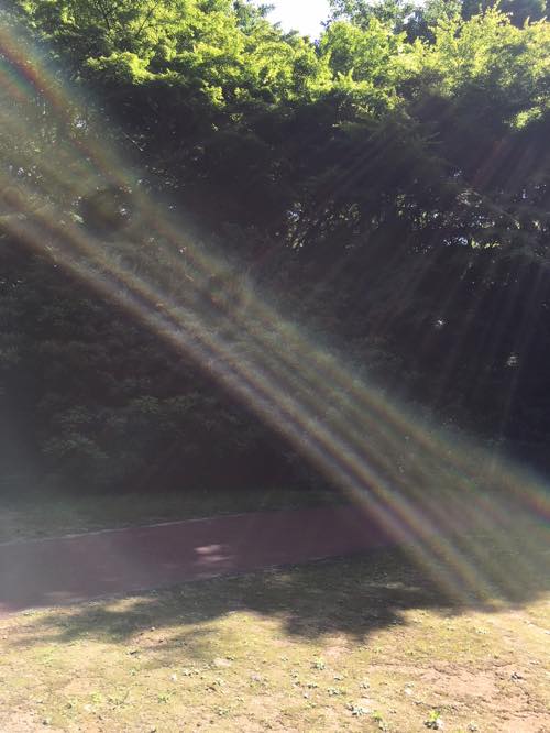 f:id:isehakupedia:20180510223409j:plain