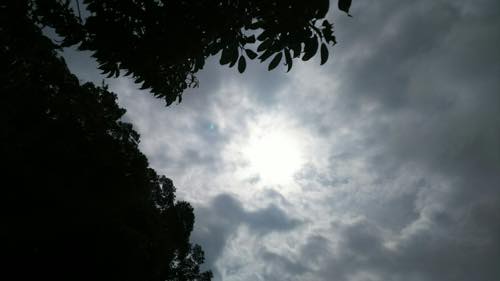 f:id:isehakupedia:20180624234403j:plain f:id:isehakupedia:20180624234403j:plain