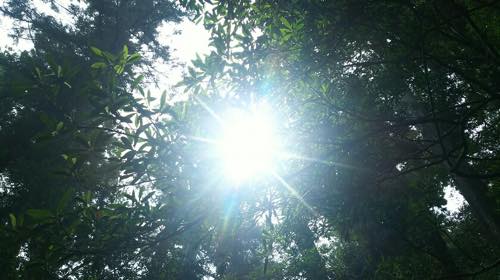 f:id:isehakupedia:20180624234408j:plain f:id:isehakupedia:20180624234408j:plain