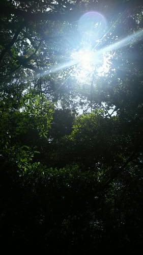 f:id:isehakupedia:20180624234414j:plain f:id:isehakupedia:20180624234414j:plain