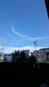f:id:isehakupedia:20180630225729j:plain f:id:isehakupedia:20180630225729j:plain