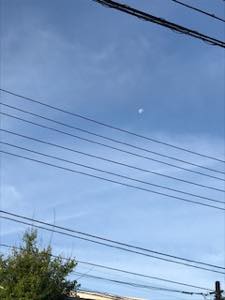 f:id:isehakupedia:20180704002012j:plain f:id:isehakupedia:20180704002012j:plain