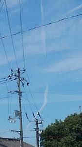 f:id:isehakupedia:20180712000943j:plain f:id:isehakupedia:20180712000943j:plain