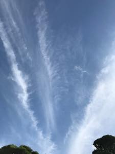 f:id:isehakupedia:20180712000945j:plain f:id:isehakupedia:20180712000945j:plain