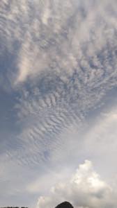 f:id:isehakupedia:20180712000948j:plain f:id:isehakupedia:20180712000948j:plain
