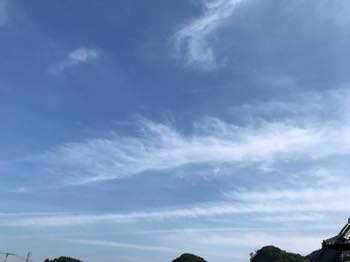 f:id:isehakupedia:20180714061250j:plain f:id:isehakupedia:20180714061250j:plain