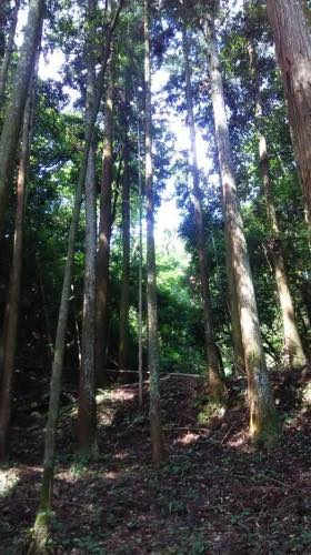 f:id:isehakupedia:20180714063900j:plain