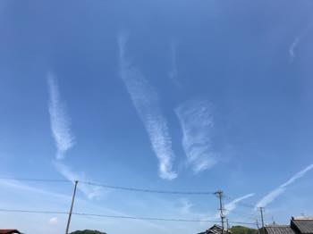 f:id:isehakupedia:20180715055010j:plain f:id:isehakupedia:20180715055010j:plain