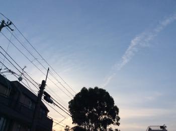 f:id:isehakupedia:20180717013349j:plain f:id:isehakupedia:20180717013349j:plain