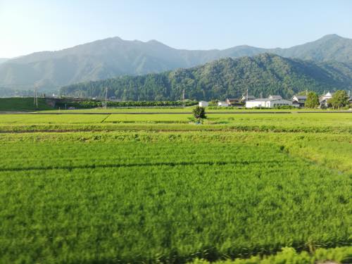 f:id:isehakupedia:20180717175113j:plain