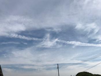 f:id:isehakupedia:20180726002934j:plain f:id:isehakupedia:20180726002934j:plain