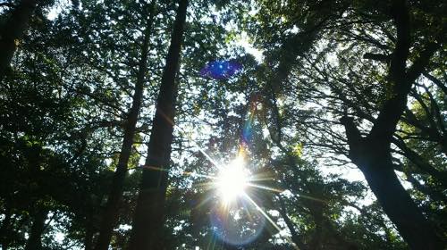 f:id:isehakupedia:20180806230324j:plain