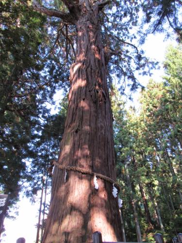 f:id:isehakupedia:20181024053842j:plain