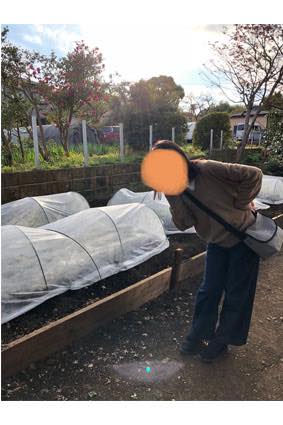 f:id:isehakupedia:20181202160746j:plain f:id:isehakupedia:20181202160746j:plain