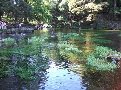 f:id:isehakupedia:20181206174214j:plain f:id:isehakupedia:20181206174214j:plain