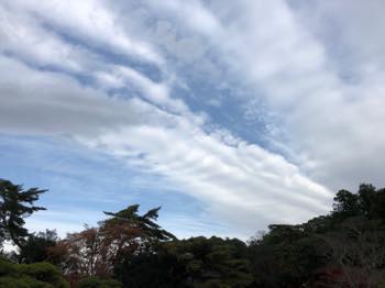 f:id:isehakupedia:20181208085136j:plain f:id:isehakupedia:20181208085136j:plain