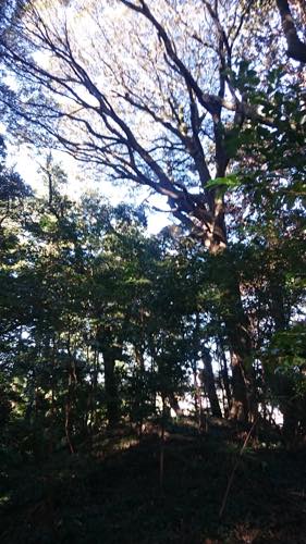 f:id:isehakupedia:20181208181745j:plain f:id:isehakupedia:20181208181745j:plain