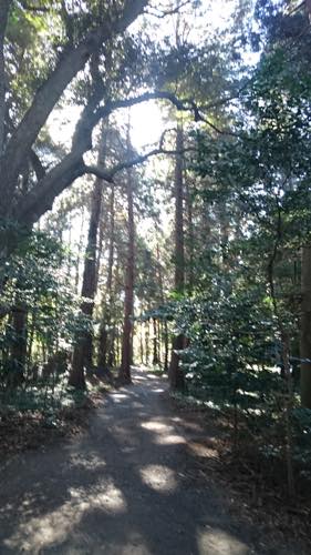 f:id:isehakupedia:20181208181748j:plain