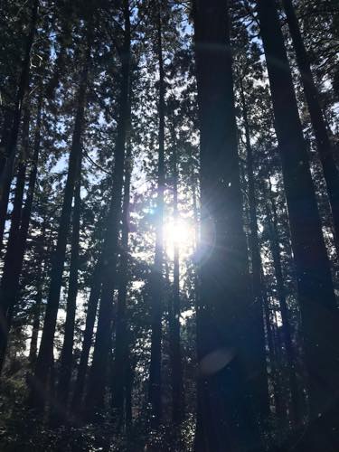 f:id:isehakupedia:20181210100008j:plain f:id:isehakupedia:20181210100008j:plain