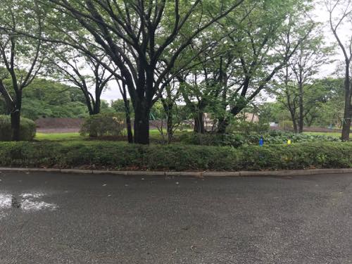 f:id:isehakupedia:20190704173609j:plain f:id:isehakupedia:20190704173609j:plain