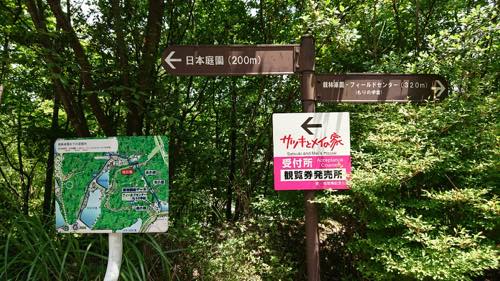 f:id:isehakupedia:20190715211742j:plain f:id:isehakupedia:20190715211742j:plain