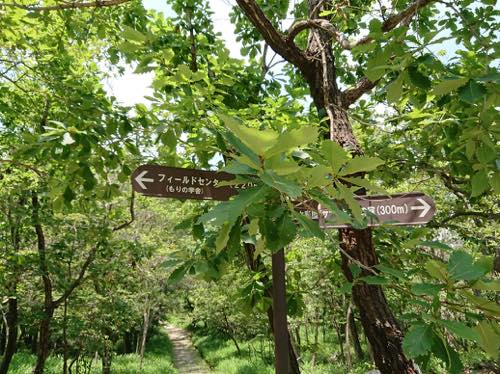 f:id:isehakupedia:20190715211759j:plain f:id:isehakupedia:20190715211759j:plain