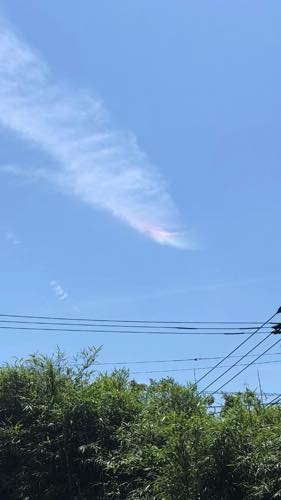 f:id:isehakupedia:20190715211856j:plain f:id:isehakupedia:20190715211856j:plain