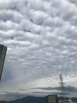 f:id:isehakupedia:20191027204158j:plain