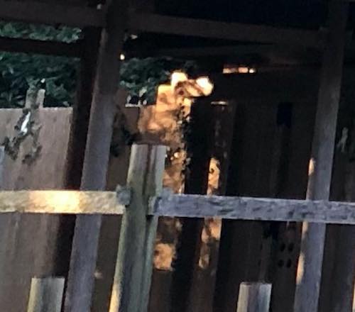 f:id:isehakupedia:20200115211718j:plain