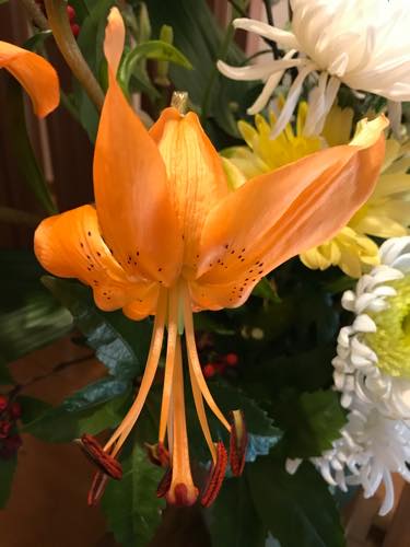 f:id:isehakupedia:20200123171738j:plain