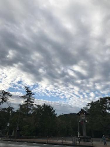 f:id:isehakupedia:20200127161024j:plain