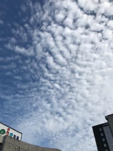 f:id:isehakupedia:20200127161031j:plain