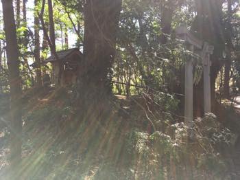 f:id:isehakupedia:20200202171432j:plain