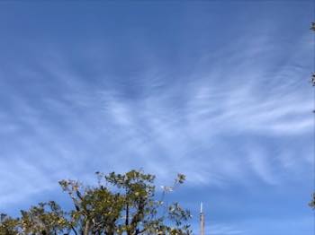 f:id:isehakupedia:20200203073927j:plain