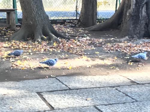 f:id:isehakupedia:20200207173951j:plain