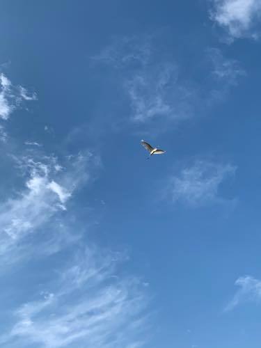 f:id:isehakupedia:20200217171915j:plain